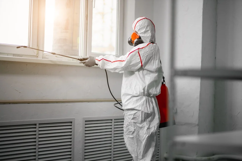 Professional mold remediation services in Shelburn, IN